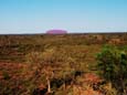 Blick von Kata Tjuta zum Uluru (63 kB)